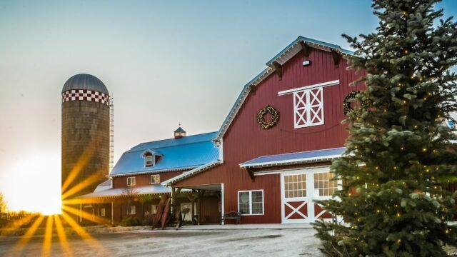 Fun-Farm-Pumpkin-Patch